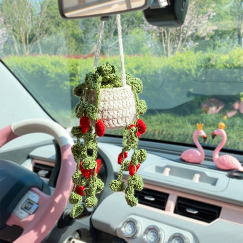 Hanging plant for on sale rear view mirror